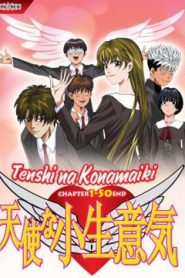 Tenshi na Konamaiki จอมแสบวัยซ่า ตอนที่ 1-50 ซับไทย